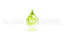 Algae Biodisesel